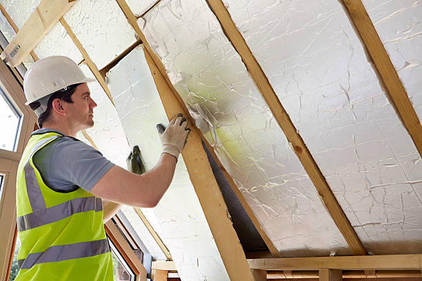 Best Insulation Maintenance and Repair in Lakeside, MT