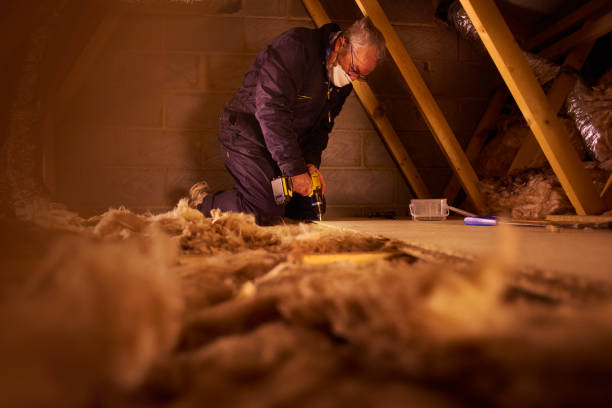 Best Eco-Friendly Insulation in Lakeside, MT